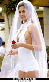 funny pictures Hottest Wedding Gown.jpg